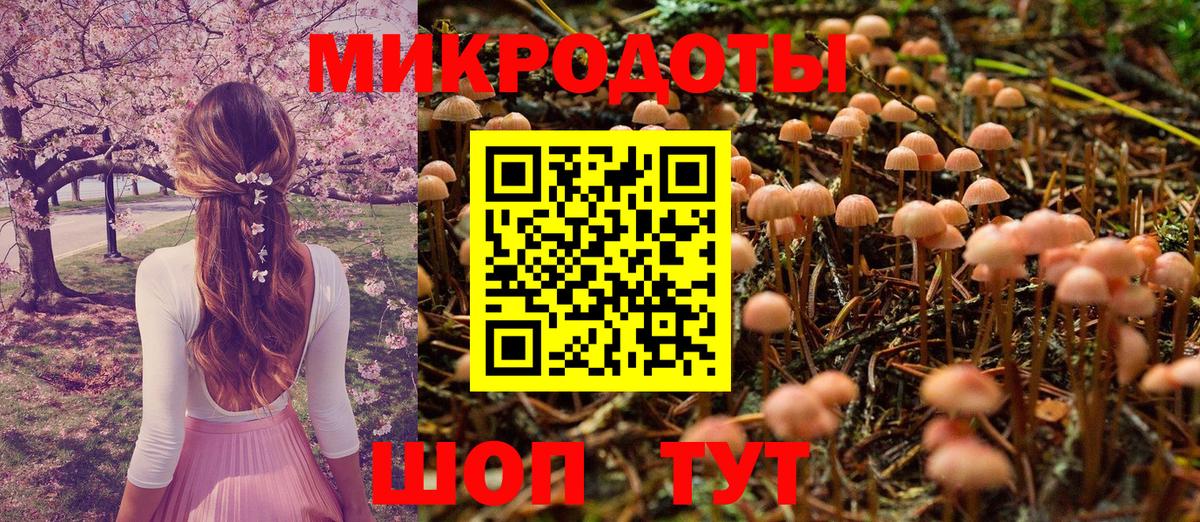 купить закладку  Галлюциногенные грибы Psilocybine cubensis  Вход с VPN  Димитровград  Псилоцибиновые грибы MAGIC MUSHROOMS 